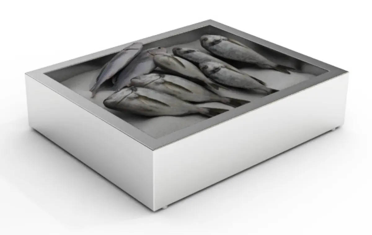 S/STEEL CRUSH ICE BIN GN 2/1 - TABLETOP - 59X72X17CM