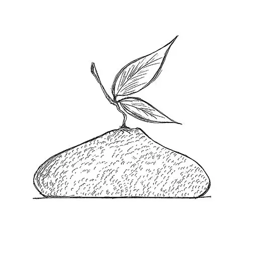 KE057 Citron